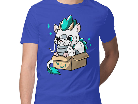 Adopt A Dragon
