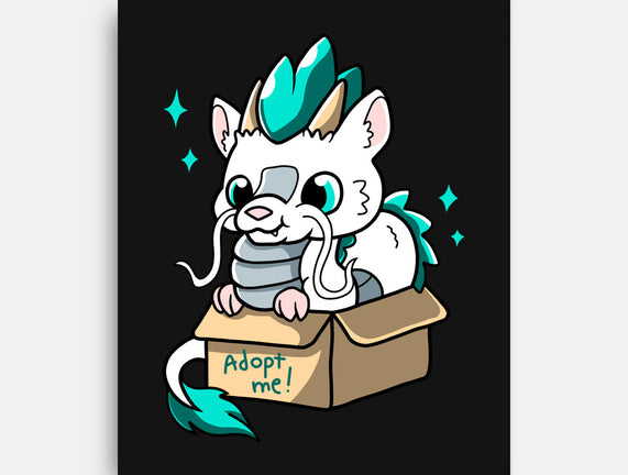 Adopt A Dragon