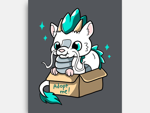Adopt A Dragon
