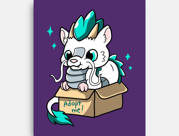 Adopt A Dragon