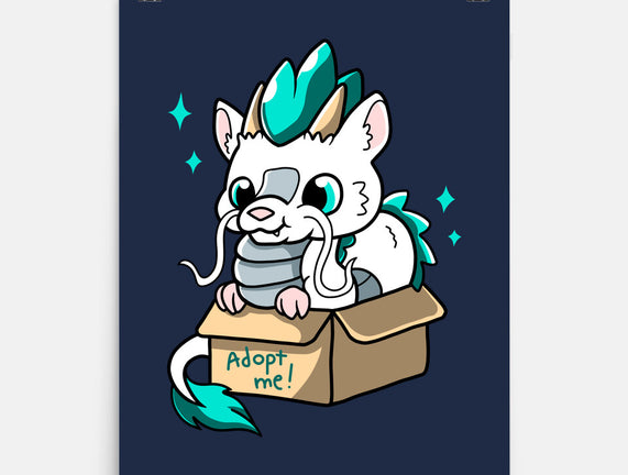 Adopt A Dragon