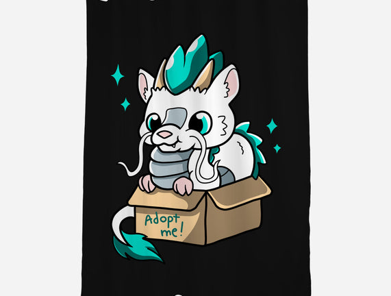 Adopt A Dragon