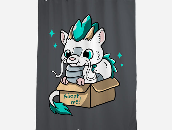 Adopt A Dragon