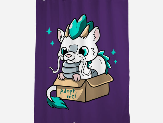 Adopt A Dragon