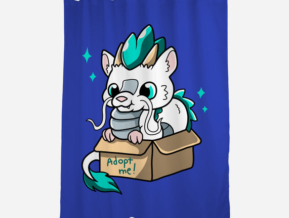 Adopt A Dragon