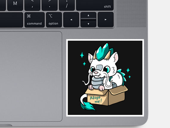 Adopt A Dragon