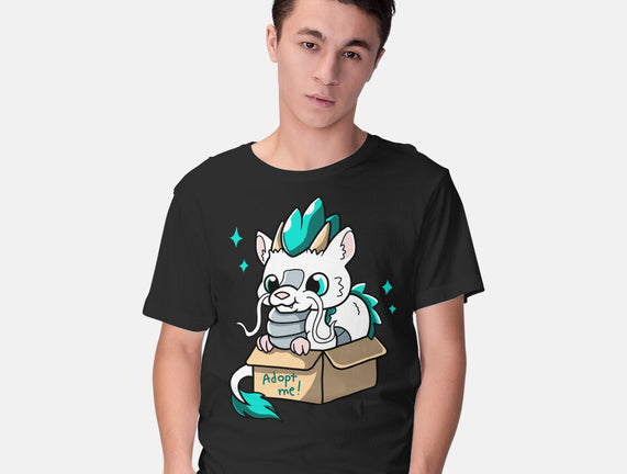 Adopt A Dragon