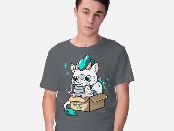 Adopt A Dragon