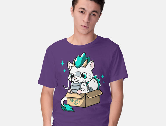 Adopt A Dragon