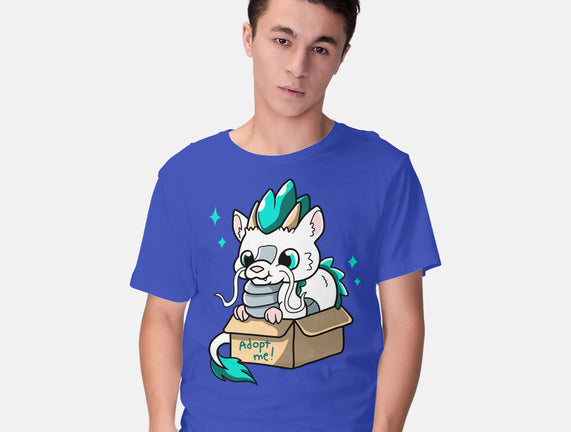Adopt A Dragon