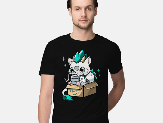Adopt A Dragon