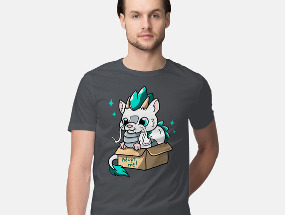 Adopt A Dragon
