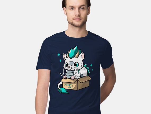 Adopt A Dragon