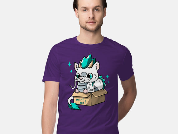 Adopt A Dragon