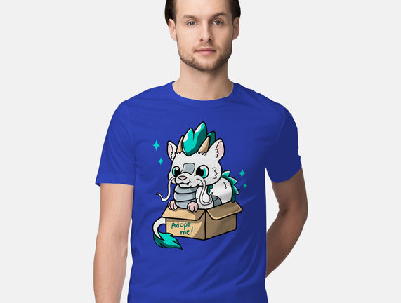 Adopt A Dragon
