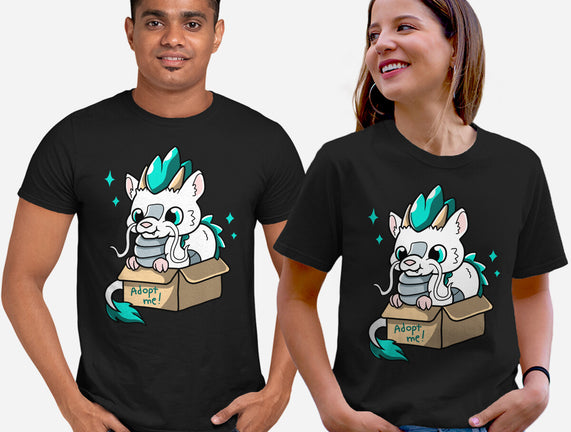 Adopt A Dragon