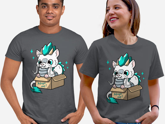 Adopt A Dragon