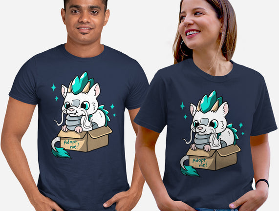 Adopt A Dragon