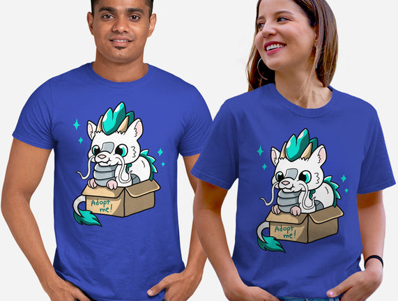 Adopt A Dragon