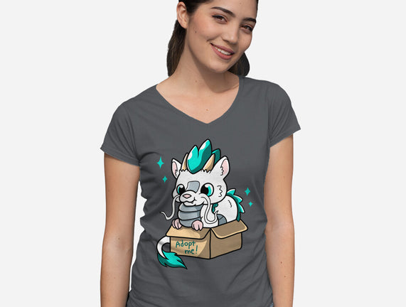 Adopt A Dragon
