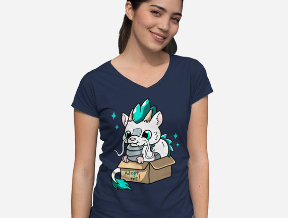 Adopt A Dragon
