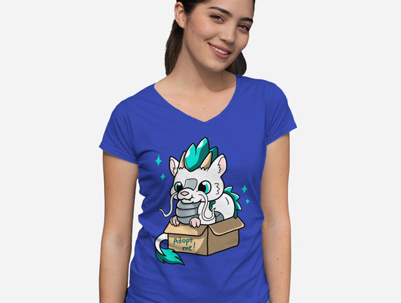 Adopt A Dragon