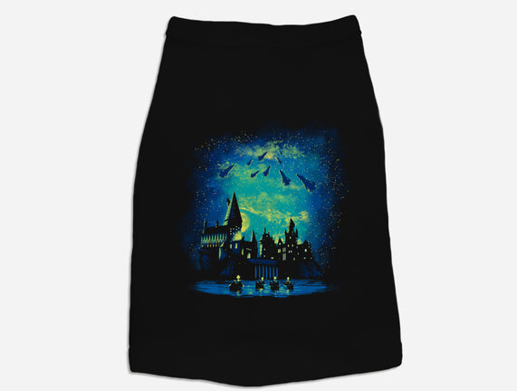 Wizard School