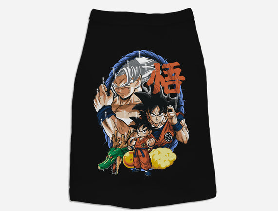Evolution Of A Saiyan