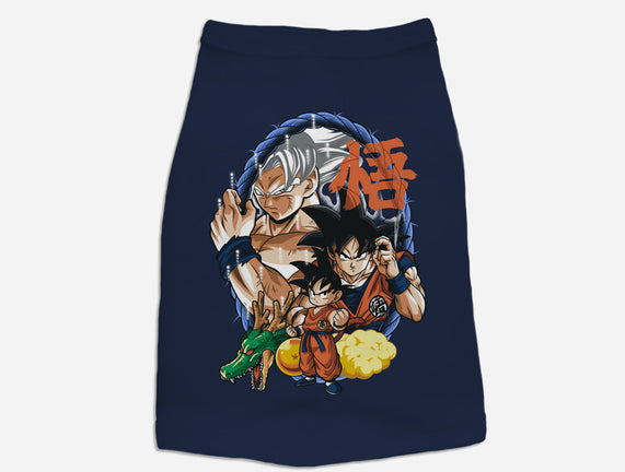 Evolution Of A Saiyan