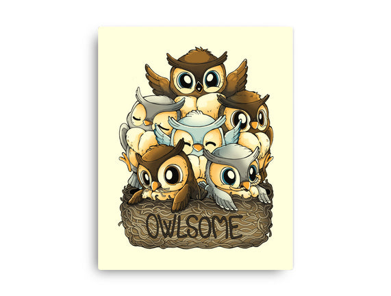 Owlsome