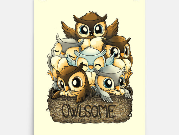 Owlsome