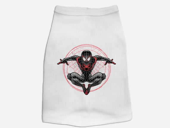 Web Slinging