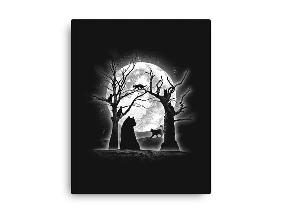 Moonlight Felines