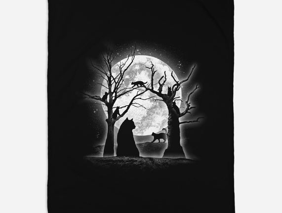 Moonlight Felines