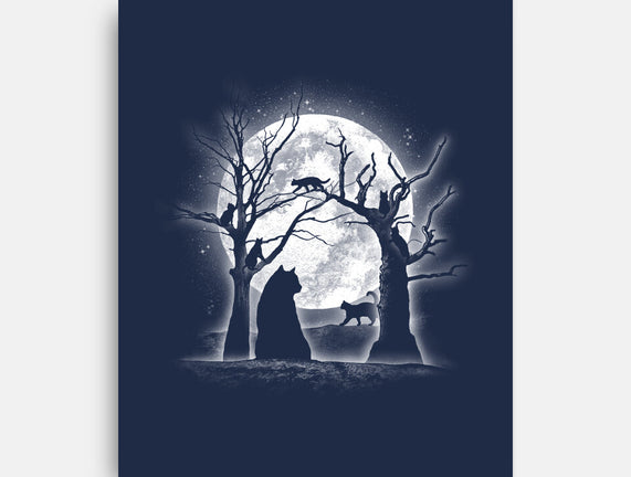 Moonlight Felines