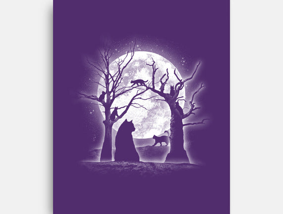 Moonlight Felines