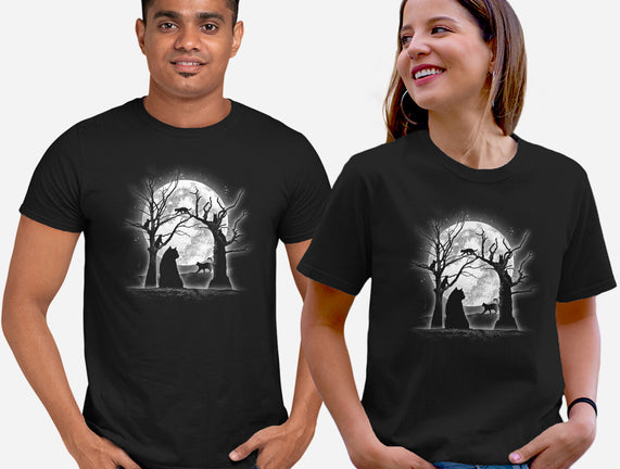 Moonlight Felines