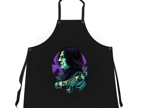 The Potions Professor