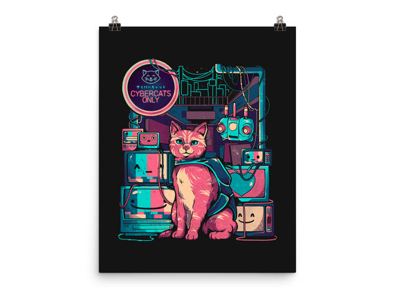 Cybercats Only