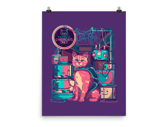 Cybercats Only