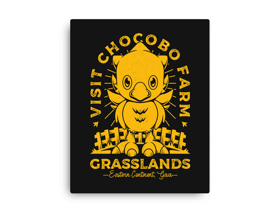 Grasslands Area Farm