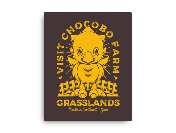 Grasslands Area Farm