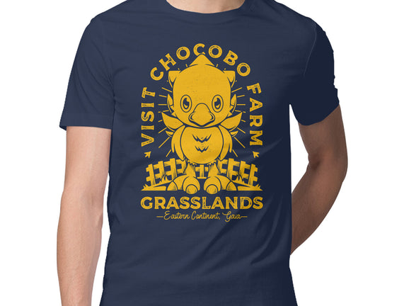 Grasslands Area Farm