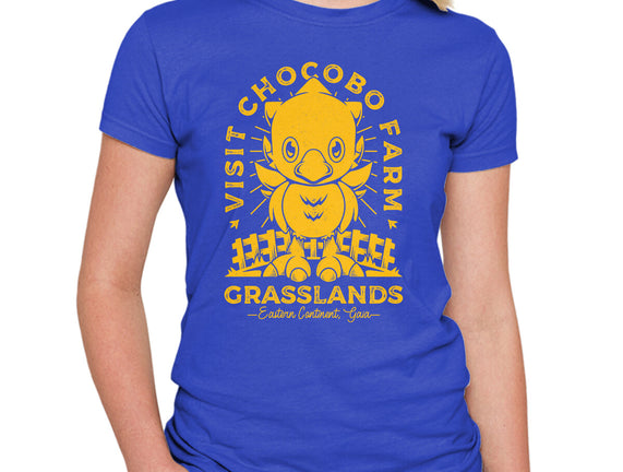 Grasslands Area Farm