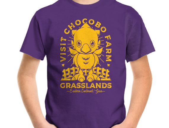 Grasslands Area Farm
