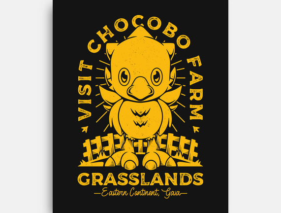 Grasslands Area Farm