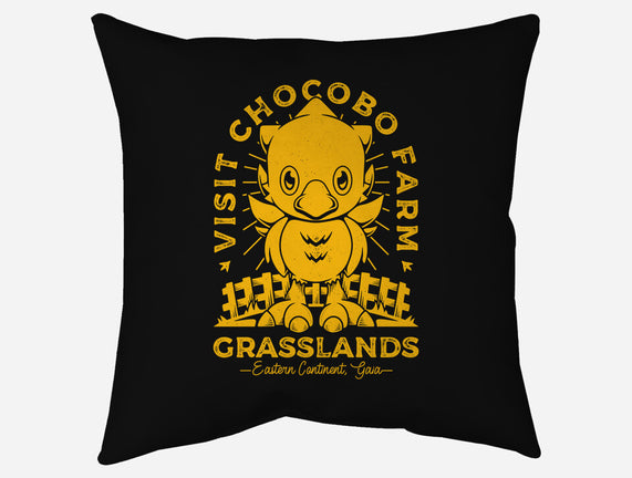 Grasslands Area Farm