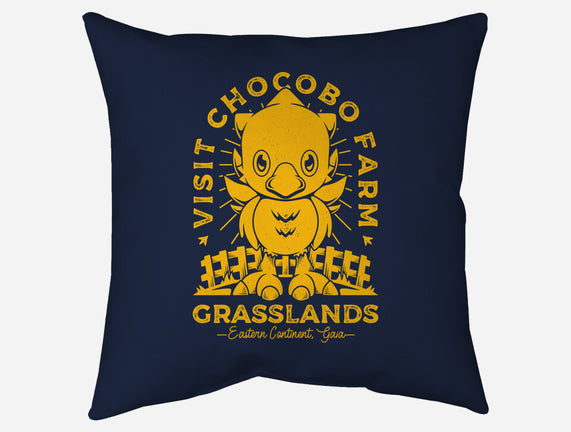 Grasslands Area Farm