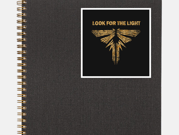 Looking For The Light