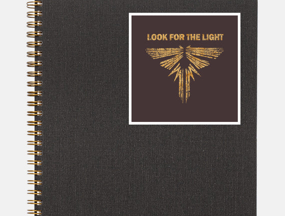 Looking For The Light